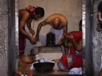 Jeerna Ashtabandha Pratishta at Shri Mahaganapati Sannidhi - SAT, Vittal (29 April 2026)